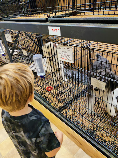 Little Paws Dog Shop LLC, 19 E Main St, Palmyra, PA 17078, USA, 