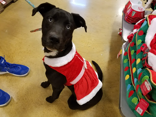 Pet Supply Store «PetSmart», reviews and photos, 2130 Gunbarrel Rd, Chattanooga, TN 37421, USA