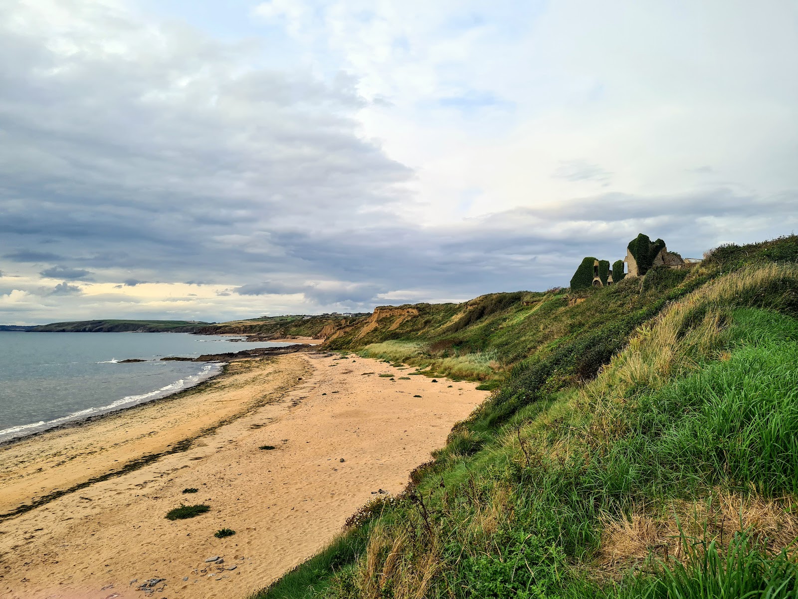 Zdjęcie Boyce's Bay Beach z powierzchnią beżowy piasek