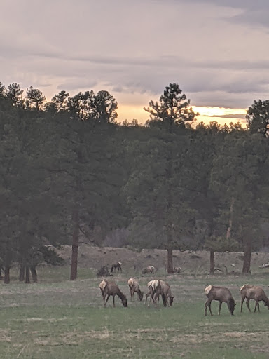 Country Club «Country Club At Castle Pines», reviews and photos, 6400 Country Club Dr, Castle Rock, CO 80108, USA