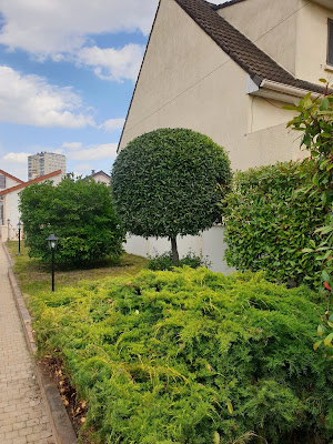 Entretien de jardin espace vert sauzer à Bondy