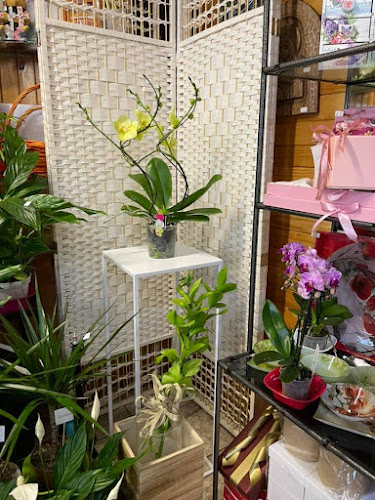 ул. Симеон Куманов 1, 5700 Тетевен, България