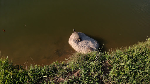 Golf Course «Flatbush Golf Course», reviews and photos, 940 Littlestown Rd, Littlestown, PA 17340, USA