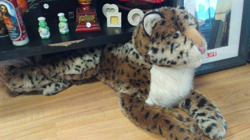 Thrift Store «ReNew ReSale», reviews and photos, 6700 Main St #130, The Colony, TX 75056, USA