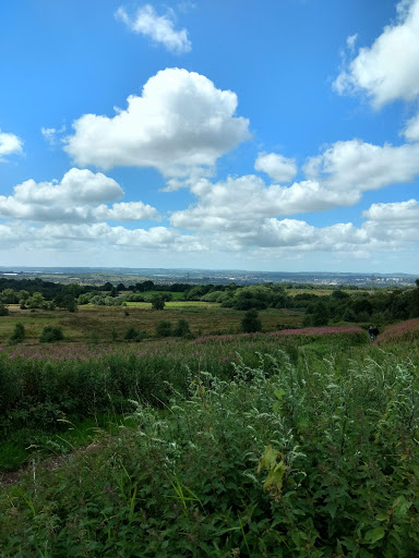 Wetley Moor Common Stoke-on-Trent