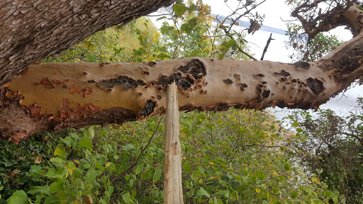 Park «Marine View Park», reviews and photos, 20945 Marine View Dr SW, Normandy Park, WA 98166, USA