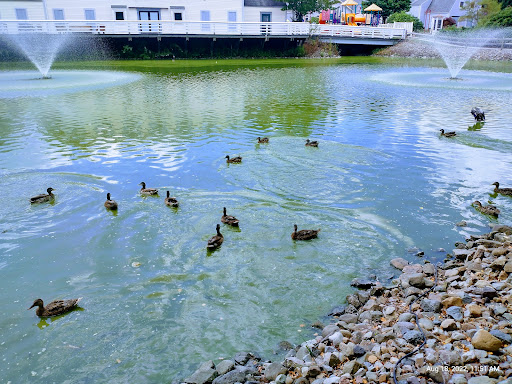 Shopping Mall «Aurora Farms Premium Outlets», reviews and photos, 549 S Chillicothe Rd, Aurora, OH 44202, USA