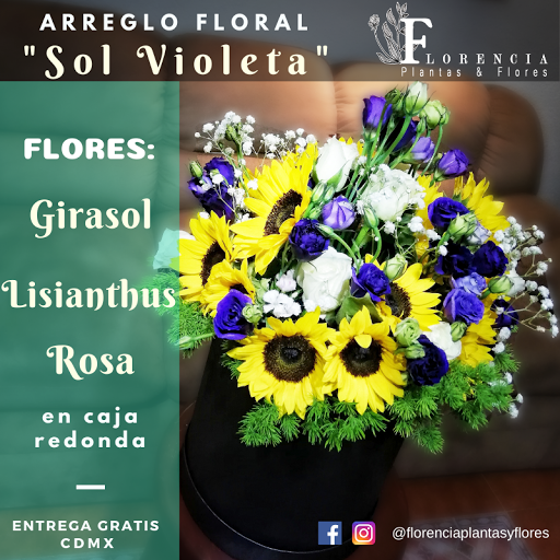 Florencia Plantas & Flores