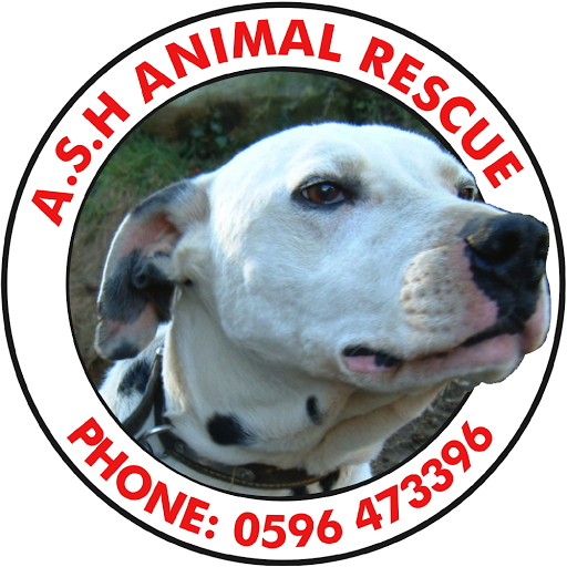 ASH Animal Rescue