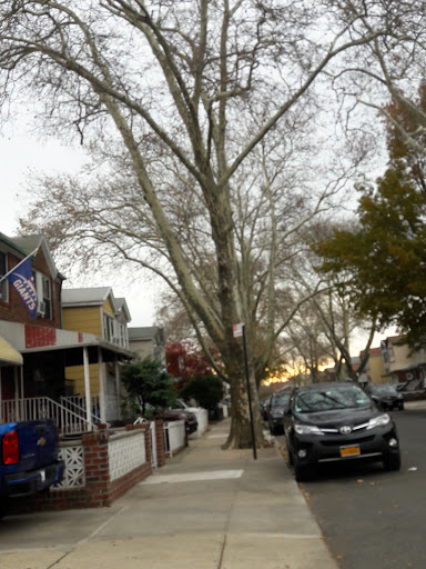 Supermarket «Bensonhurst Market», reviews and photos, 7215 20th Ave, Brooklyn, NY 11204, USA