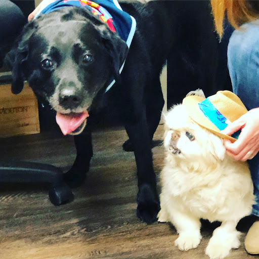 Liquor Store «Viscount Wines & Liquors», reviews and photos, 1173 U.S. 9, Wappingers Falls, NY 12590, USA