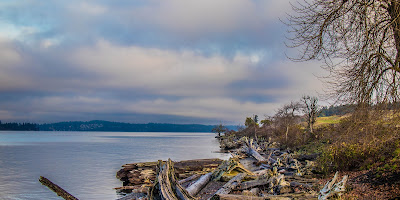 Chambers Creek Regional Park