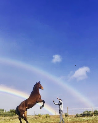 CENTRE EQUESTRE DE L'AGLY à Espira-de-l'Agly