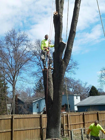 Tree Contractors Inc