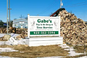Gabe's Top It or Drop It Tree Service, LLC image