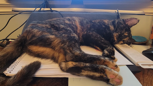 Pet Supply Store «Pet Supplies Plus», reviews and photos, 971 S Lapeer Rd, Oxford, MI 48371, USA