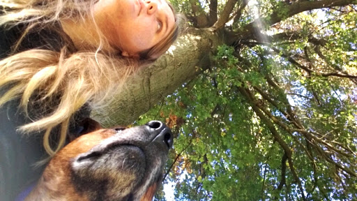 Performing Arts Group «Lincoln Park Performing Arts Center», reviews and photos