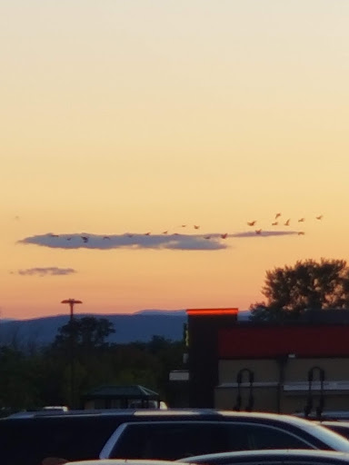 Department Store «HomeGoods», reviews and photos, 664 New Loudon Rd, Latham, NY 12110, USA