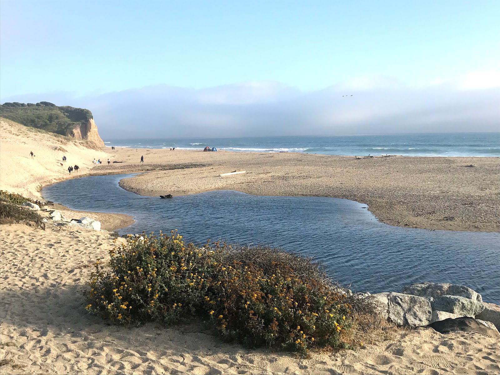 Scott Creek Beach'in fotoğrafı ve yerleşim