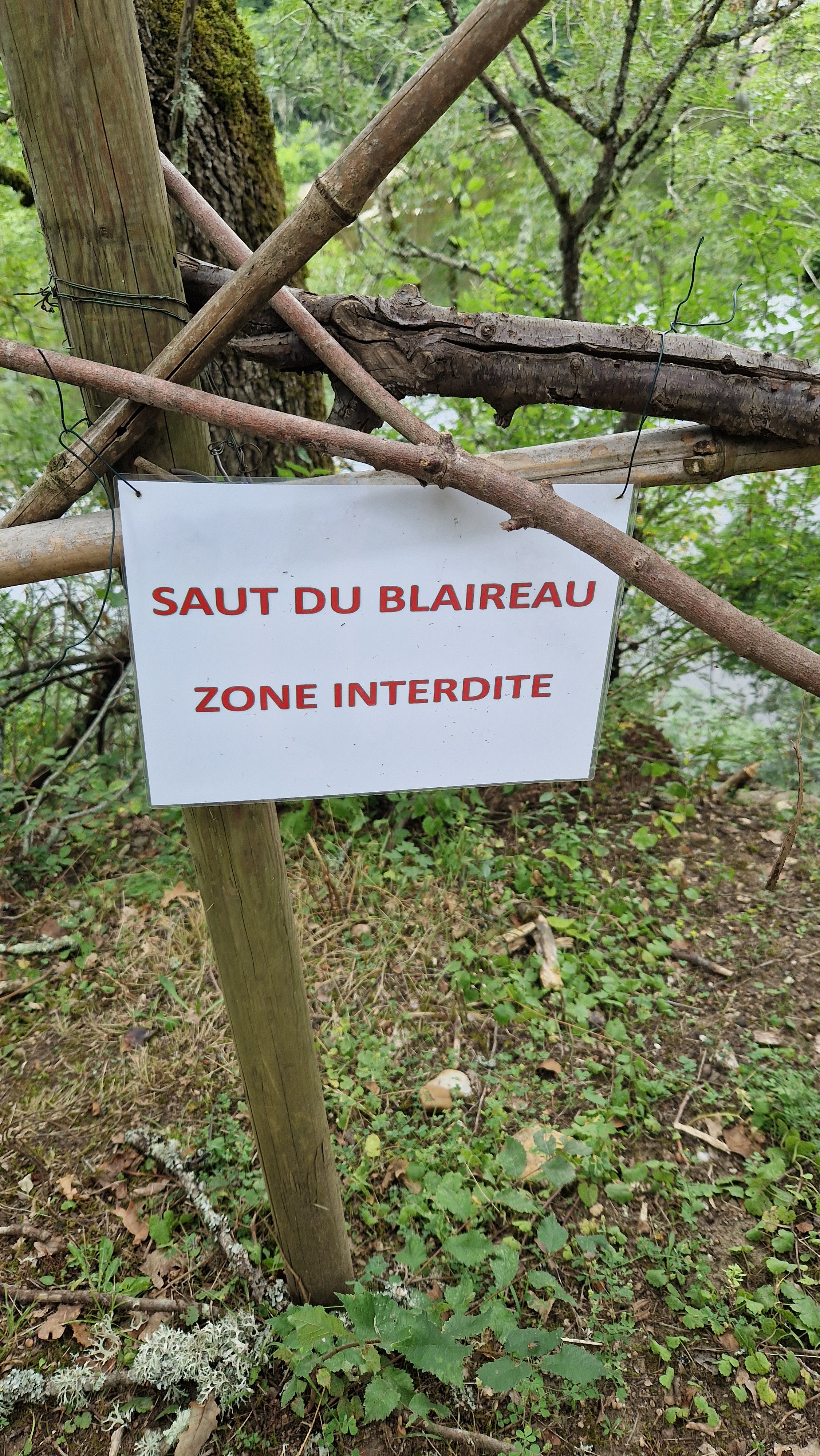 Photo n° 3 de l'avis de Sarah.r fait le 01/08/2023 à 15:34