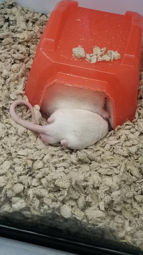 Pet Supply Store «Petco Animal Supplies», reviews and photos, 12444 NW 10th St #301, Yukon, OK 73099, USA