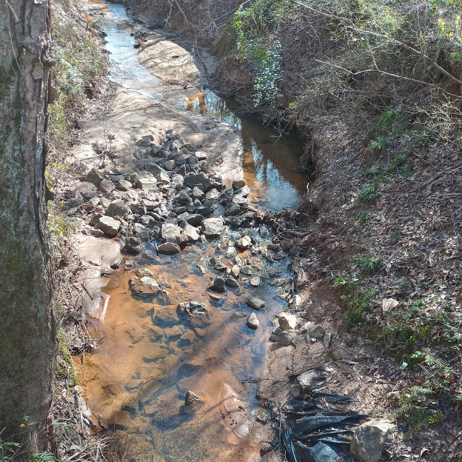 Reeves Creek Trail