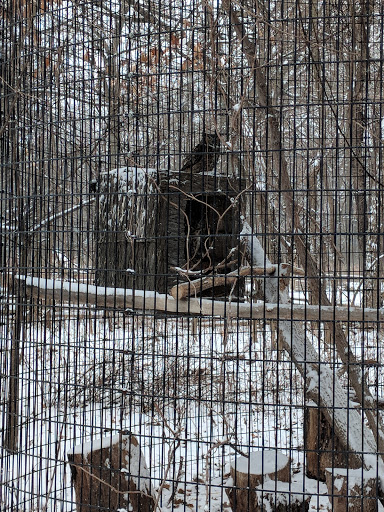 Nature Preserve «The Grove», reviews and photos, 1421 Milwaukee Ave, Glenview, IL 60025, USA