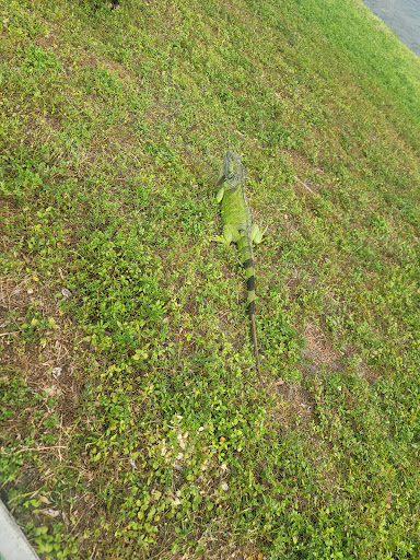 Park «McDonald Park», reviews and photos, 7505 W 12th Ave, Hialeah, FL 33014, USA