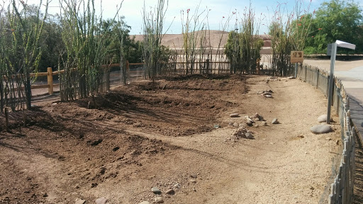 History Museum «Pueblo Grande», reviews and photos, 4619 E Washington St, Phoenix, AZ 85034, USA