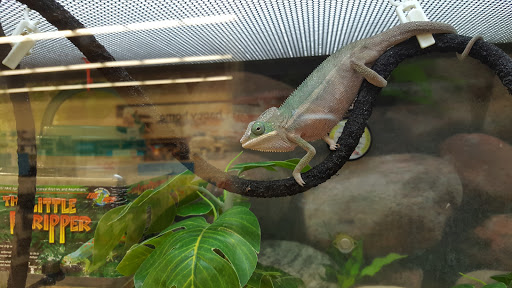 Pet Supply Store «Petco Animal Supplies», reviews and photos, 585 E Wetmore Rd, Tucson, AZ 85705, USA