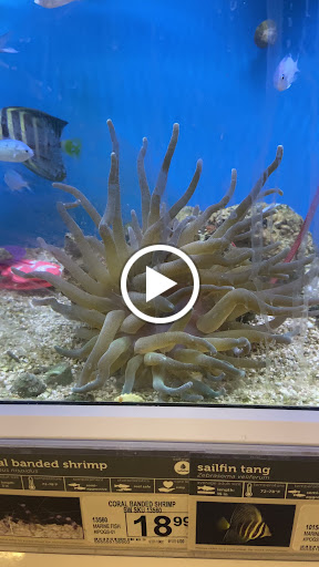 Pet Supply Store «Petco Animal Supplies», reviews and photos, 412 W Army Trail Rd, Bloomingdale, IL 60108, USA