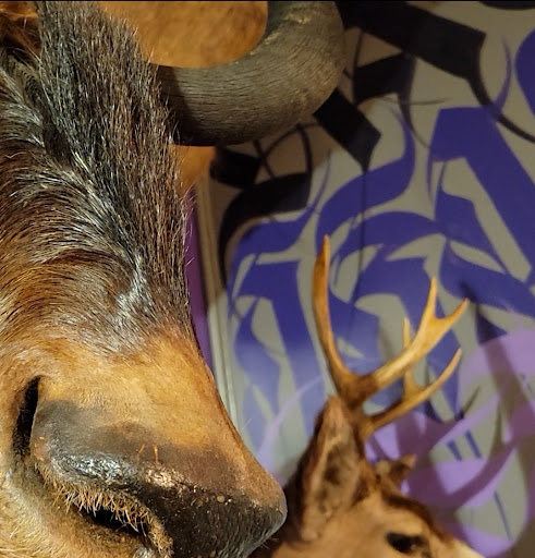 Explore sailor jerry tattoo ideas, creative tattoo ideas in Chicago, available at Purple Rhino Tattoo Piercing