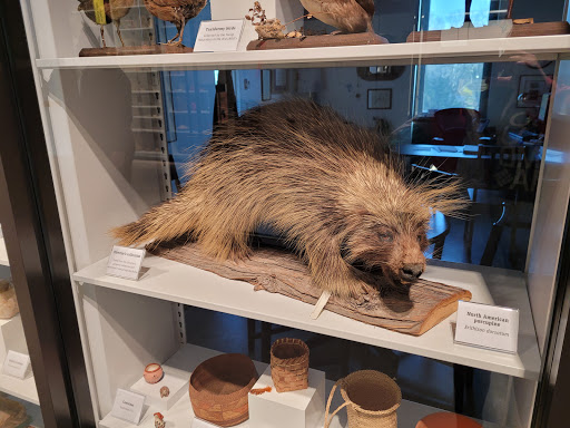 Natural History Museum «Burke Museum of Natural History and Culture», reviews and photos, 1413 NE 45th St, Seattle, WA 98105, USA