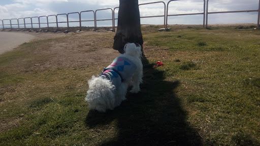 Park «Evergreen Park», reviews and photos, 9300 Moody St, Cypress, CA 90630, USA