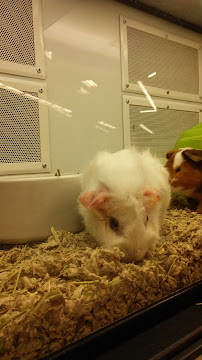 Petco - Photo 7 - Car repair in Bloomington, IN, Bloomington