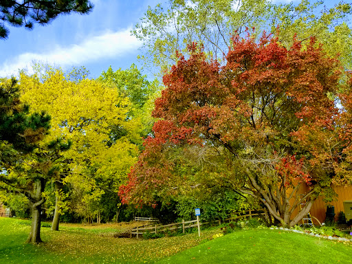 Golf Course «Birnamwood Golf Course», reviews and photos, 12424 Parkwood Dr, Burnsville, MN 55337, USA