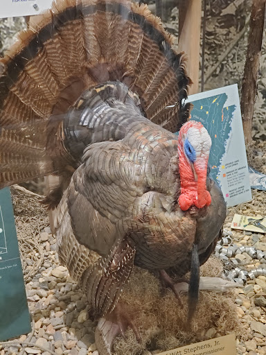 Natural History Museum «The Witt Stephens Jr. Central Arkansas Nature Center», reviews and photos, 602 President Clinton Ave, Little Rock, AR 72201, USA