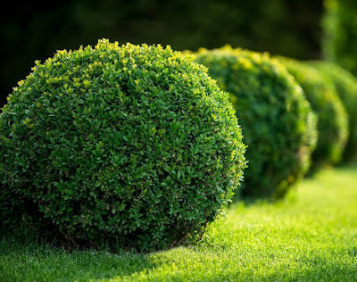 RVF JARDINS à Générac