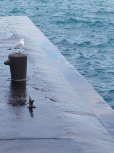 Ice Cream Shop «Original Rainbow Cone», reviews and photos, 840 E Grand Ave, Chicago, IL 60611, USA