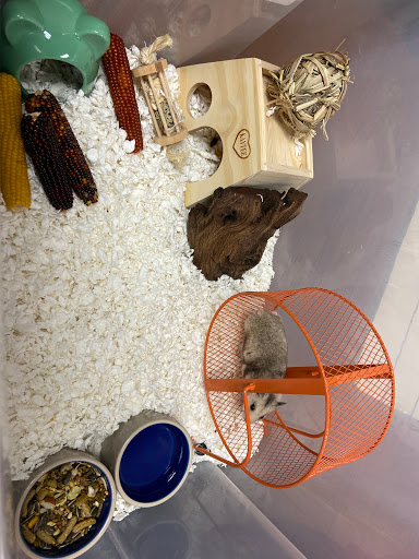 Pet Supply Store «Living Things», reviews and photos, 3437 PA-309, Orefield, PA 18069, USA