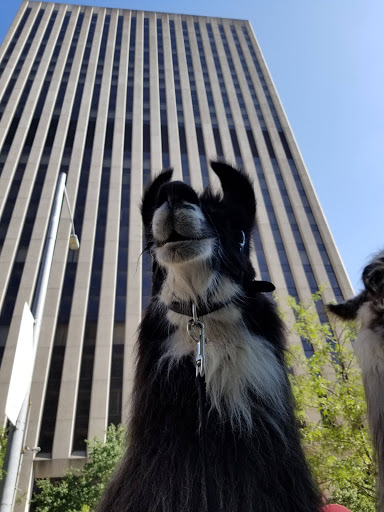 Performing Arts Theater «Benjamin & Marian Schuster Performing Arts Center», reviews and photos, 1 W 2nd St, Dayton, OH 45402, USA