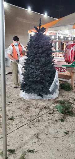 Todd's Christmas Trees