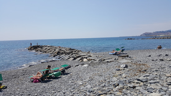 Amica Dog Beach