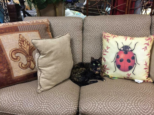 Hardware Store «Goodwood Hardware & Outdoors», reviews and photos, 7539 Jefferson Hwy, Baton Rouge, LA 70806, USA