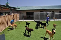 Two Ponds Pet Lodge - Car repair in Arvada, CO, Arvada - Rated 4.3/5