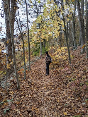 Bennetts Pond State Park - photo 19