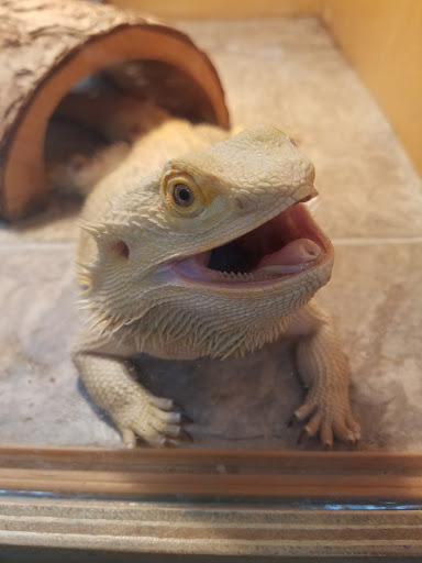 Video Arcade «Beach Fun & Games», reviews and photos, 12975 Village Blvd, Madeira Beach, FL 33708, USA