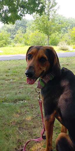 Park «Ipswich River Park», reviews and photos, 15 Central St, North Reading, MA 01864, USA