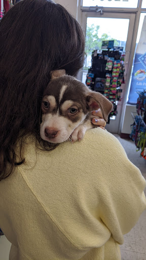 Pet Supply Store «Concord Pet Foods & Supplies», reviews and photos, 22836 Sussex Hwy, Seaford, DE 19973, USA