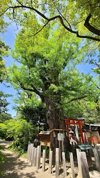 杭全神社